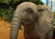 Animalindividualsafricanelephant-malechild2