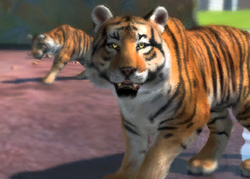 Zoo Tycoon 2 Ultimate Collection Male Animals by ReynaldoOktaviano