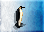Emperor-penguin-icon-zt1.png