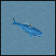 Great White Shark | Zoo Tycoon Wiki | Fandom