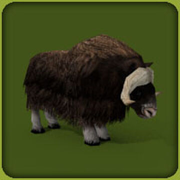 Musk Ox | Zoo Tycoon Wiki | Fandom Musk Ox | Zoo Tycoon Wiki | Fandom