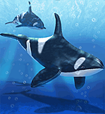 新品、未開封！ORCA Minute Stream2000 ORCA ミニットストリーム2000（ORCA Wavemaker