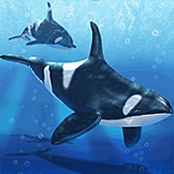 Category:Indian Ocean Animals | Zoo Tycoon Wiki | Fandom Category:Indian Ocean Animals | Zoo Tycoon Wiki | Fandom