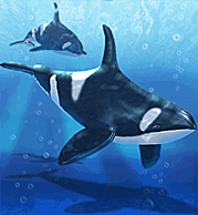 Zoo Tycoon: Marine Mania - Orca Show (Scenario 1) 