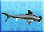 Hammerhead-shark-icon-zt1.png