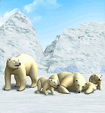Zoo Tycoon 3: Polar Bear 