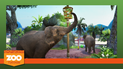 Upgrading is for Winners achievement in Zoo Tycoon