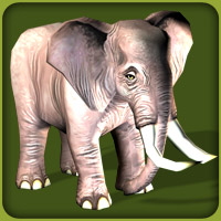 African Elephant | Zoo Tycoon Wiki | Fandom