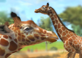 User blog:Superjakob/Animal List from Zoo Tycoon 3