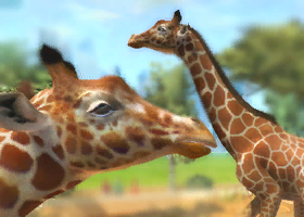 Let's Play Zoo Tycoon: Complete Collection! Episode 1 - Giraffes