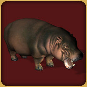 Zoo Tycoon 3: Hippopotamus 