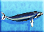 Humpback-whale-icon-zt1.png