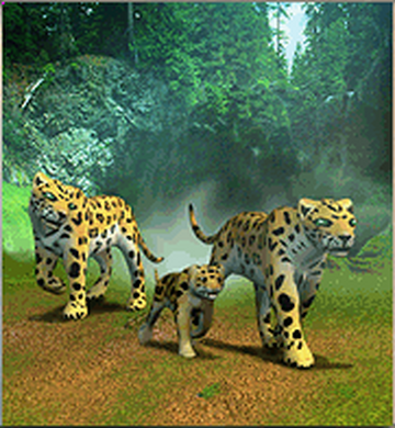 Jaguar | Zoo Tycoon Wiki | Fandom