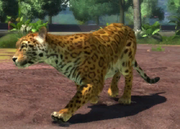 Zoo Tycoon: Ultimate Animal Collection, Zoo Tycoon Wiki