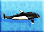 Harbor-porpoise-icon-zt1.png