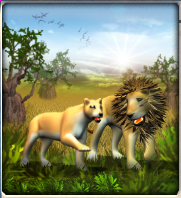 Zoo Tycoon 2: Ultimate Collection Price in India - Buy Zoo Tycoon