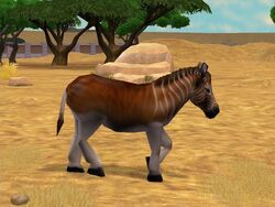 Zoo Tycoon 2: Quaggas by MF217 on DeviantArt