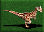 Allosaurus-icon-zt1.png