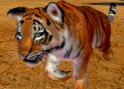 Zoo Tycoon players meet first Community Challenge supporting Sumatran Tiger  Survival Program