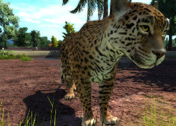 Zoo Tycoon: Ultimate Animal Collection, Zoo Tycoon Wiki