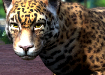 Zoo Tycoon Screens Take Us Top-Down and Close-Up