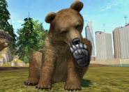 Animalindividualsstripedsyrianbrownbear-femalechild0