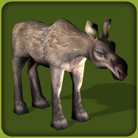 User blog:Superjakob/Animal List from Zoo Tycoon 3