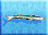 Great-barracuda-icon-zt1.png