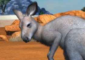 User blog:Superjakob/Animal List from Zoo Tycoon 3