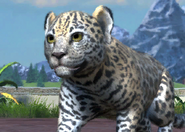 Animalindividualsparana jaguar-femalechild2