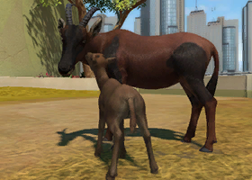 Zoo Tycoon 3: Sable Antelope 