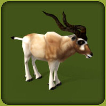 Gallery:Zoo Tycoon, Zoo Tycoon Wiki