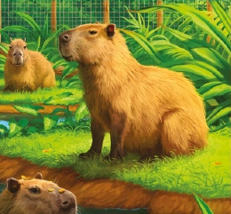 Capybara | Zoo Tycoon Wiki | Fandom