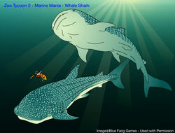 AL on X: My Zoo in Shark World on Zoo Tycoon 2001 (Marine Mania) #zootycoon  #MarineMania  / X