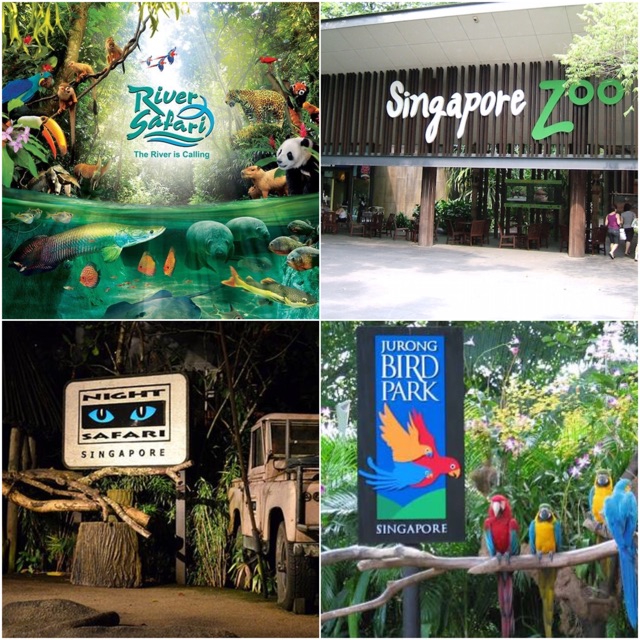 Sedco forex international inc singapore zoo Data di uscita delle azioni turo