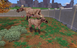 Apr. 2021 - Zoo Tycoon 2 - Moose Exhibit - ZooChat