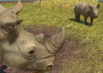 White Rhinoceros | Zoo Tycoon Wiki | Fandom