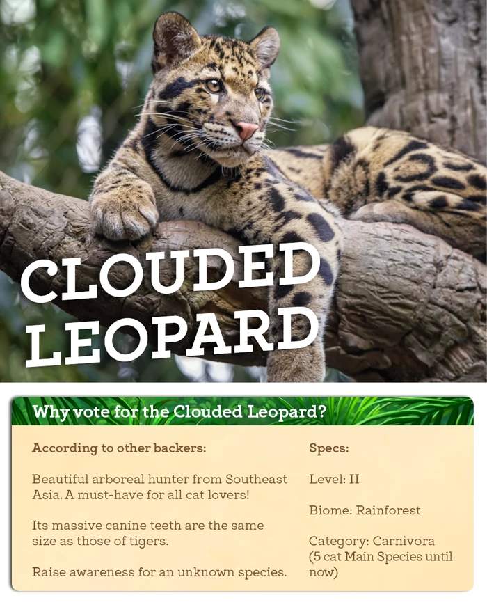 Clouded Leopard | Zoo Tycoon Wiki | Fandom