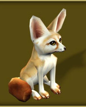 Fennec Fox Zoo Tycoon Wiki Fandom