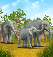 zoo tycoon 2 all expansions animals by biome