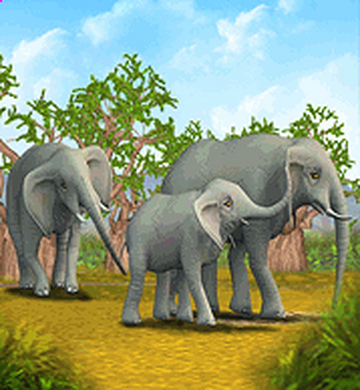 ELEPHANT 2冊 Safari LTD Elephant Lot with Tags 1996 2006 2004 | eBay