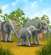 Gallery:Zoo Tycoon, Zoo Tycoon Wiki