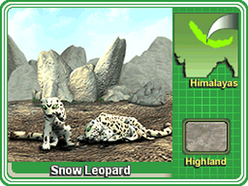 Snow Leopard | Zoo Tycoon Wiki | Fandom