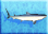 Tiger-shark-icon-zt1.png