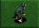 Lowland Gorilla - Female.png
