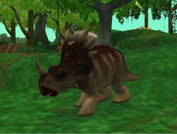 Fun Fact: The Styracosaurus Babies from Zoo Tycoon 2's Dino Danger Pack  were Originally going to be Green! : r/ZooTycoon