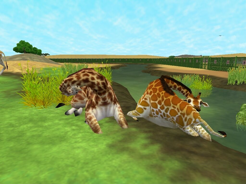 Zoo Tycoon 3 – Process the Progress