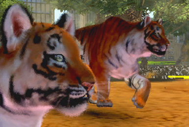 Zoo Tycoon 3: Siberian Tiger 