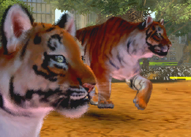 Zoo Tycoon players meet first Community Challenge supporting Sumatran Tiger  Survival Program