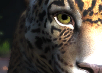 Zoo Tycoon: Ultimate Animal Collection Trailer 